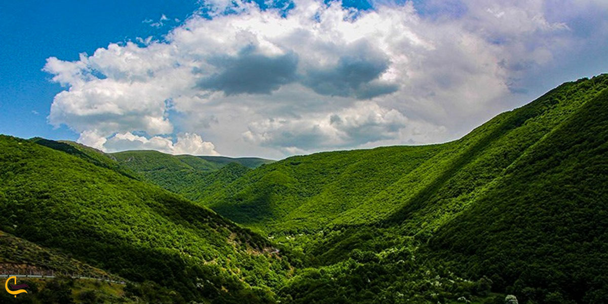 تصویری از طبیعت سرسبز اهر