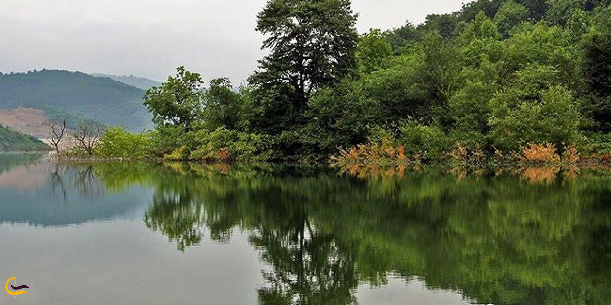 تصویری از طبیعت سرسبز سد لفور