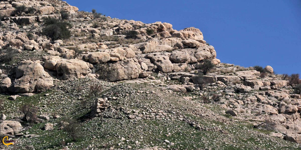 تصویری از قلعه پسر