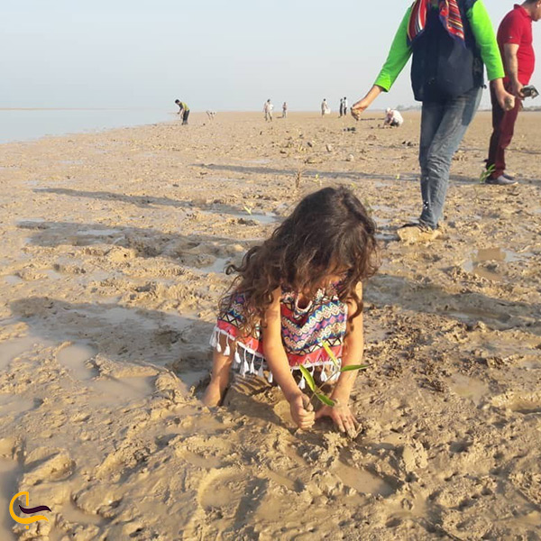 بازی کودکان در ساحل شنی بندر گناوه