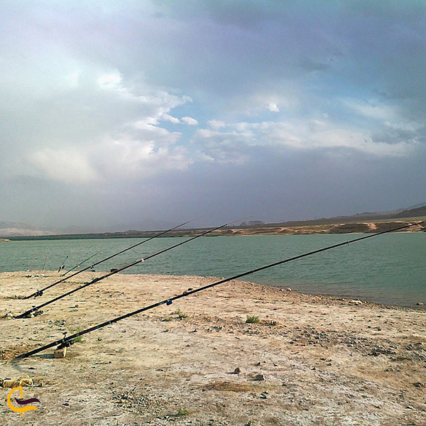 ماهیگیری در سد پانزده خرداد دلیجان