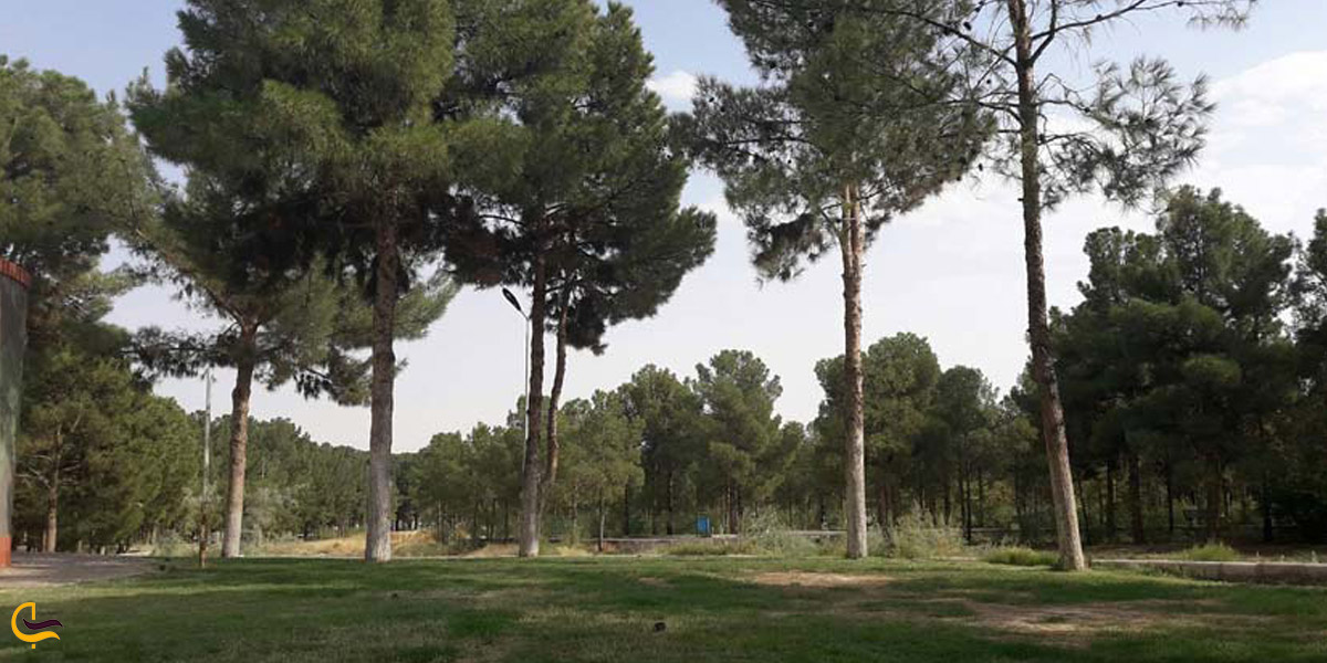 تصویری از پارک جنگلی شهید چمران
