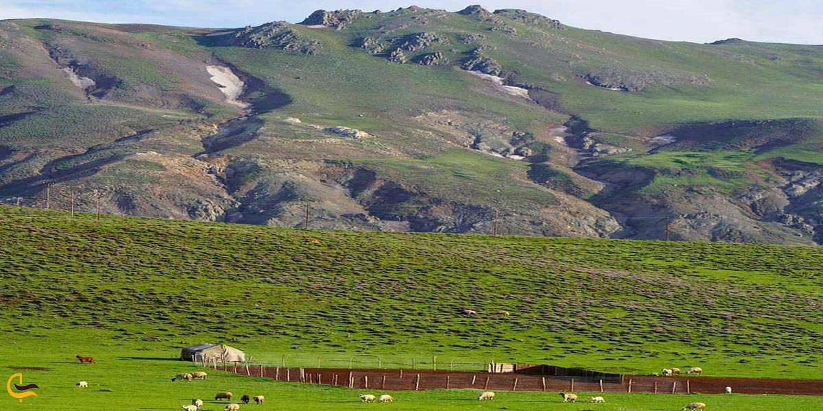 تصویری از طبیعت خوی