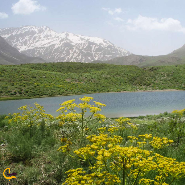 تصویری از طبیعت دریاچه کوه گل‭