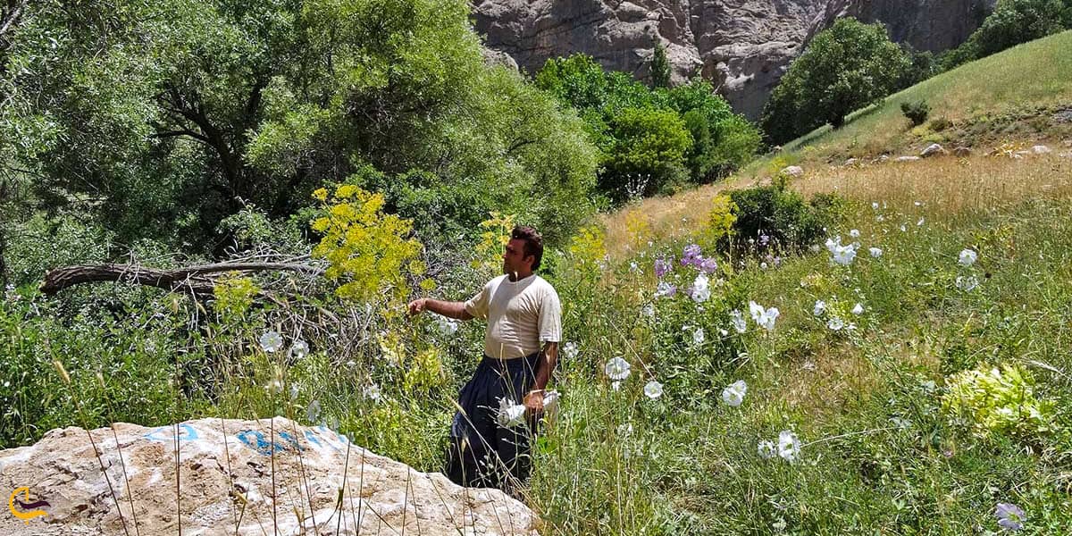 نمایی ازفصل بهار تنگه لیتون
