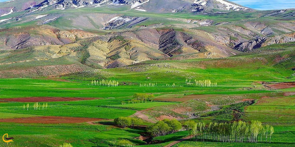 تصویری از طبیعت سرسبز خوی