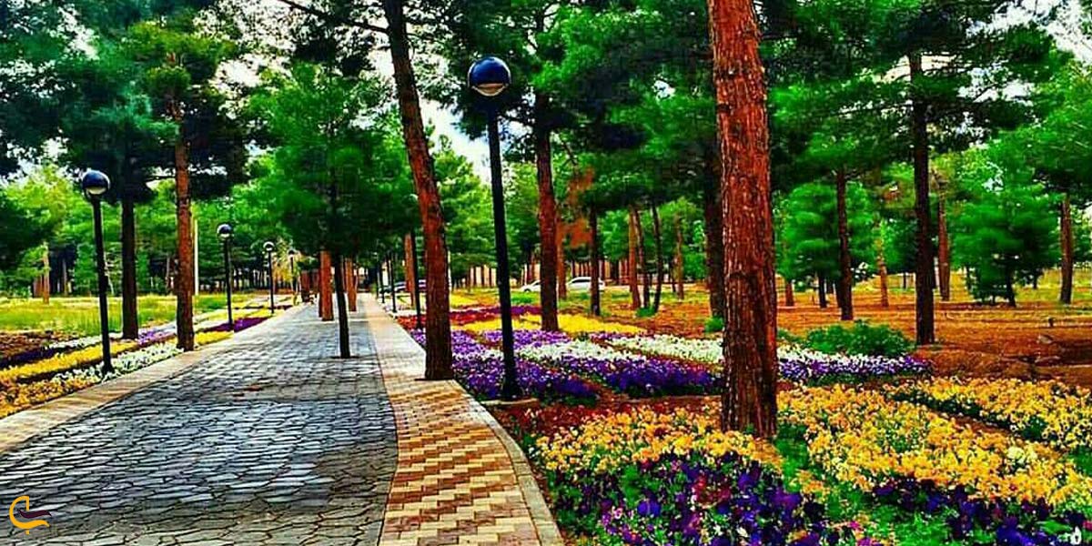 تصویری از پارک در محلات