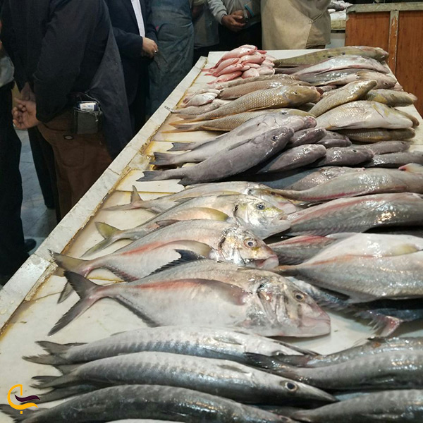 تصویر بازار ماهی بندر گناوه