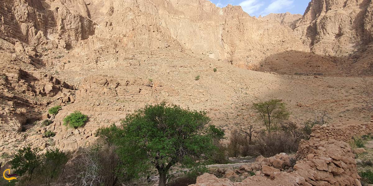 تصویری از روستای شادکام
