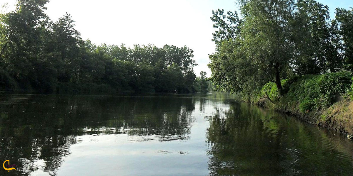 نمایی ازرودخانه شلمان‌رود