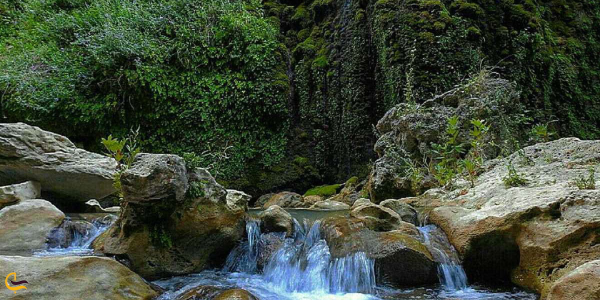 نمایی ازطبیعت تنگه لیتون