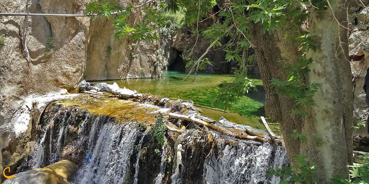 نمایی ازدرختان اصیل تنگه لیتون