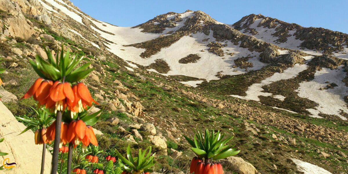 نمایی ازلاله های واژگون روستای سلین