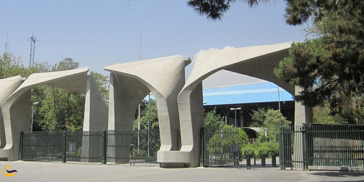 تصویری از محله دانشگاه تهران