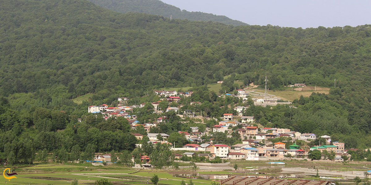 تصویری از طبیعت سرسبز روستای کرد آباد