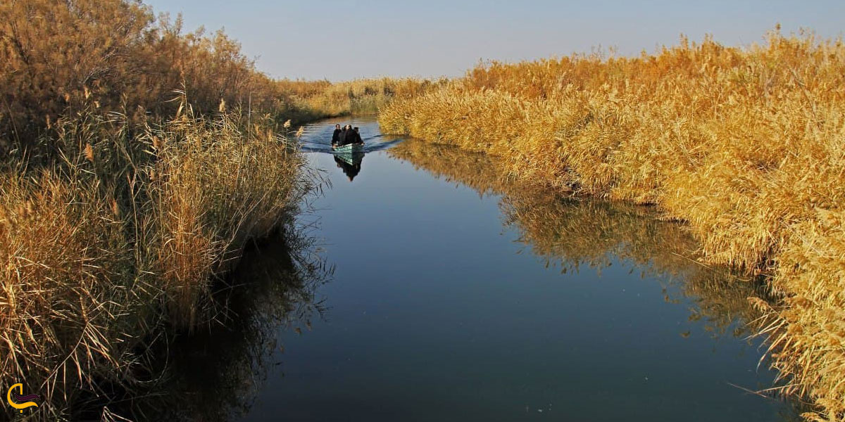 تصویری از طبیعت تالاب قره قلاق