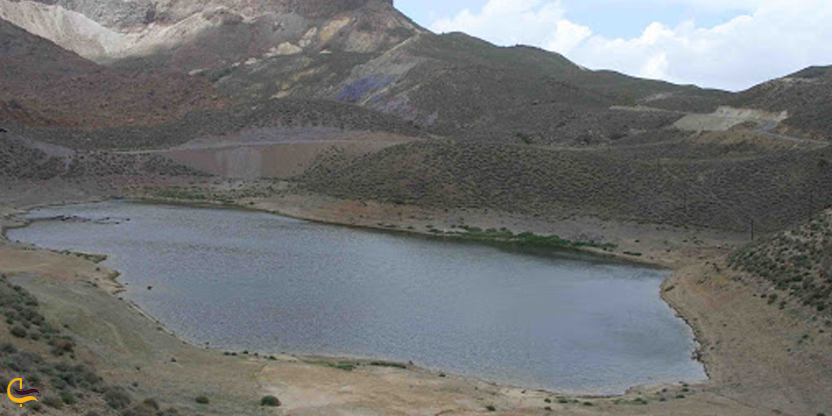 تصویری از سر دریا