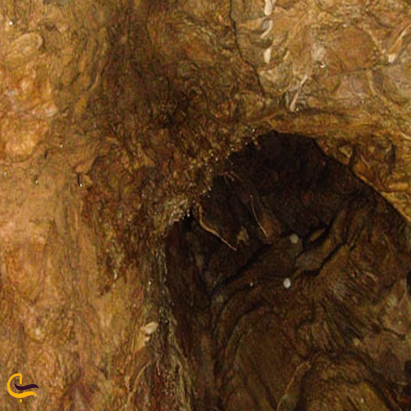 تصویری از داخل غار تلابن گورج