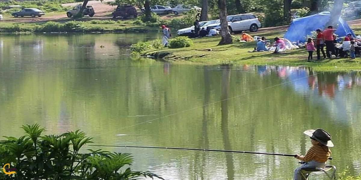 تصویری از طبیعت گردی و ماهیگیری در طبیعت دریاچه حلیمه جان