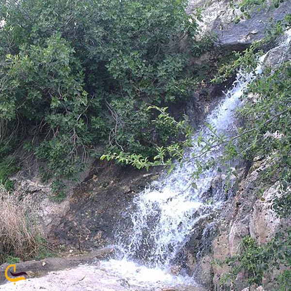 تصویری از آبشار باغ