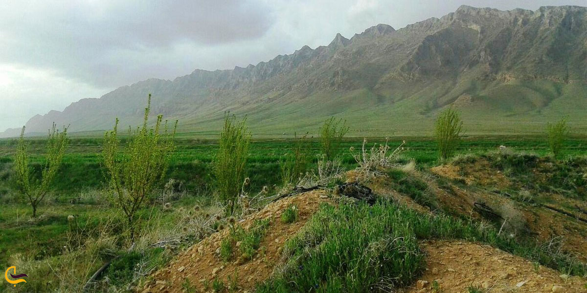 عکس کوه الوند لکان