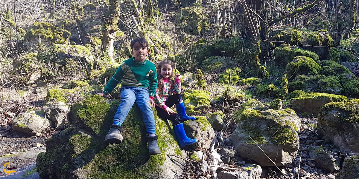 عکس تختهسنگهای خزهبسته آبشار سیاه تاش املش