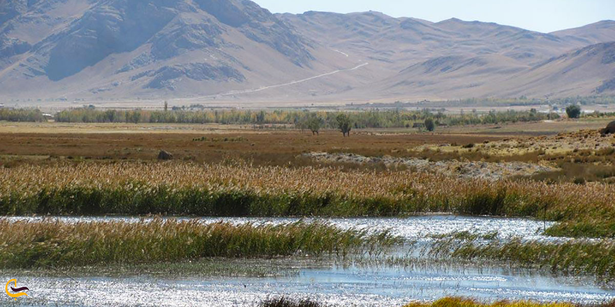 عکس تالاب دهنو بروجن