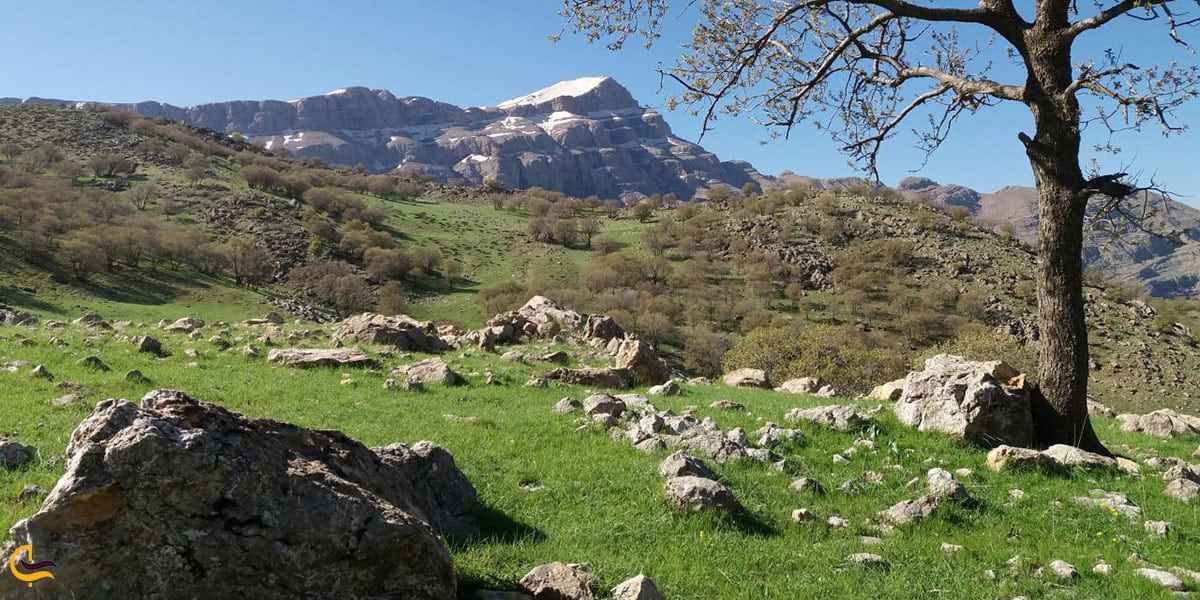 عکس پریز کوه دورود