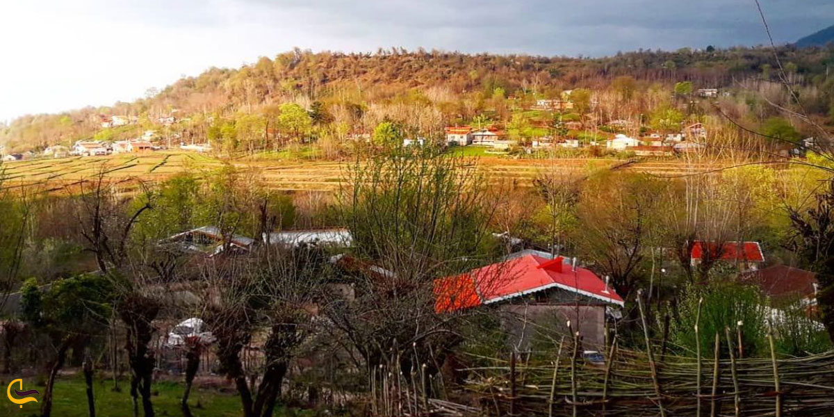 تصویری از پارک جنگلی کندلات