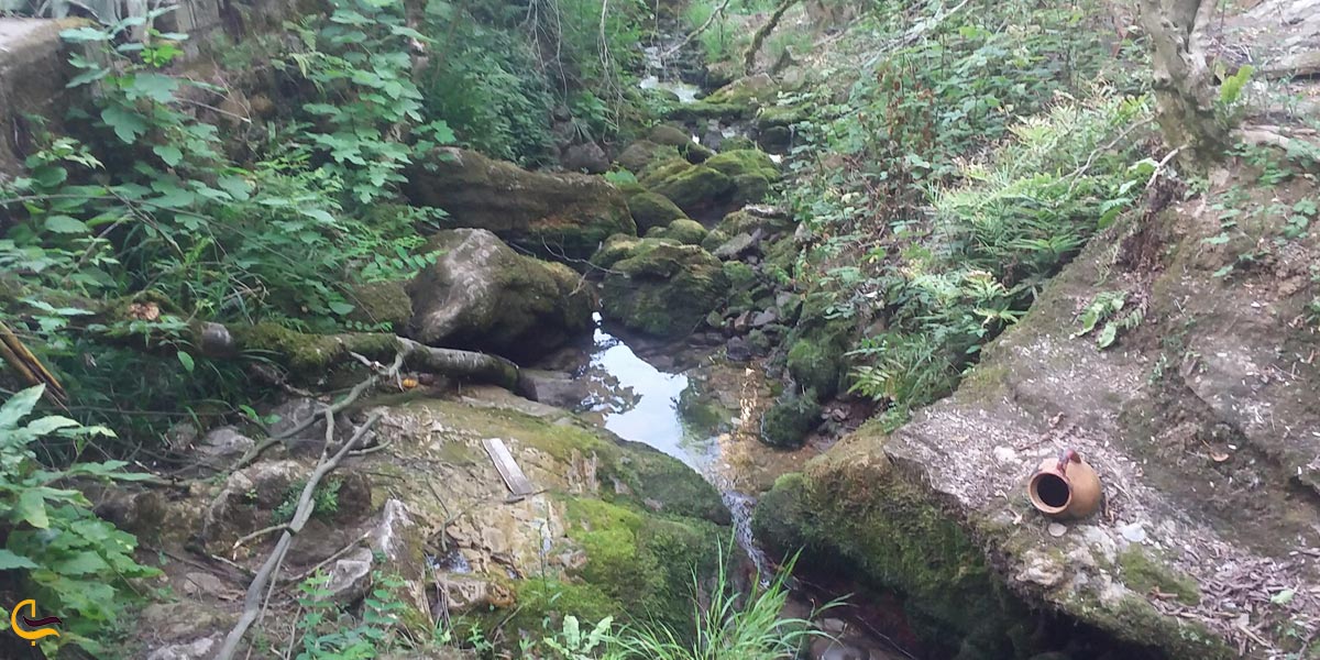 تصویری از چشمه دمکش