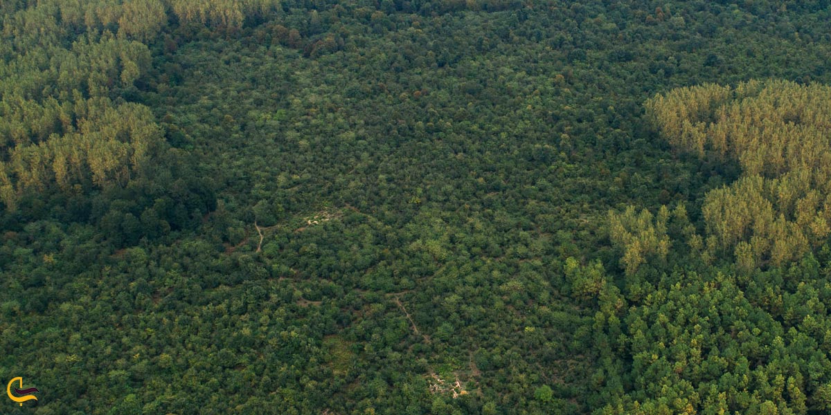 تصویری از محوطه هفت دغنان