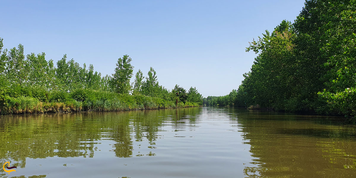 تصویری از تالاب هندخاله
