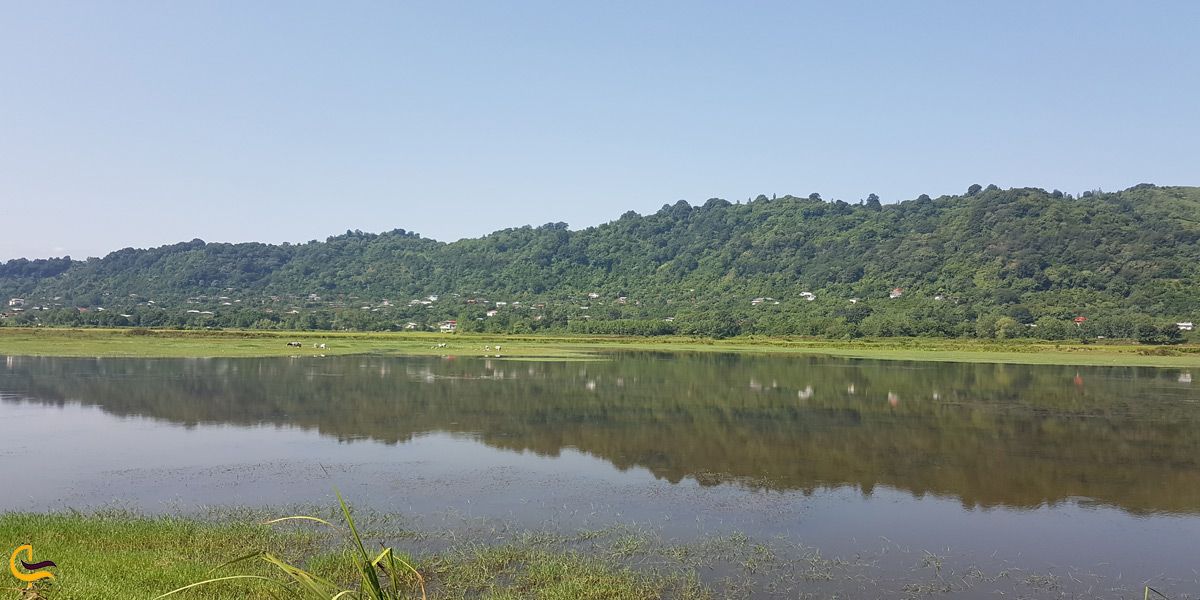 تصویری از دریاچه کومله