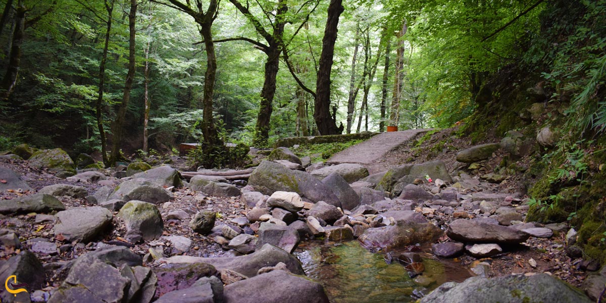تصویری از پارک لونک
