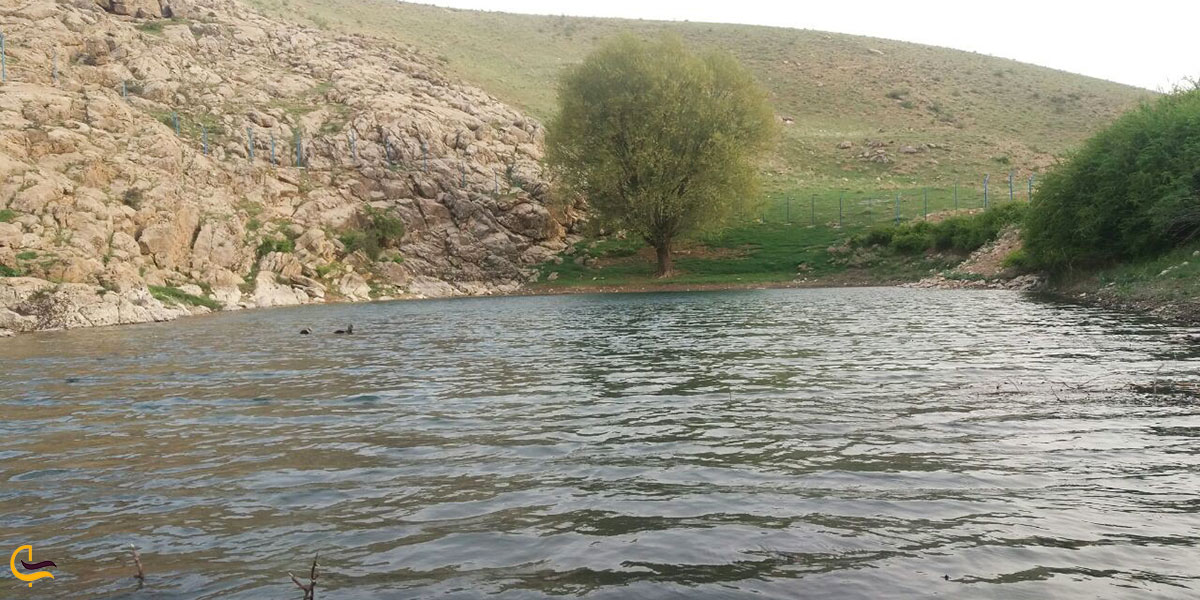 عکس سراب چمنار دورود