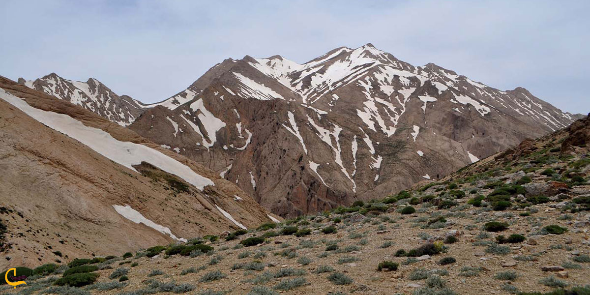 عکس قالی کوه