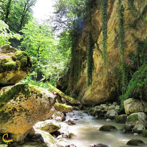 عکس طبیعت طول مسیر آبشار سیاه تاش املش