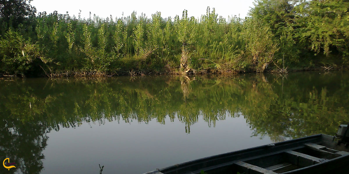 تصویری از طبیعت روستای نوخاله
