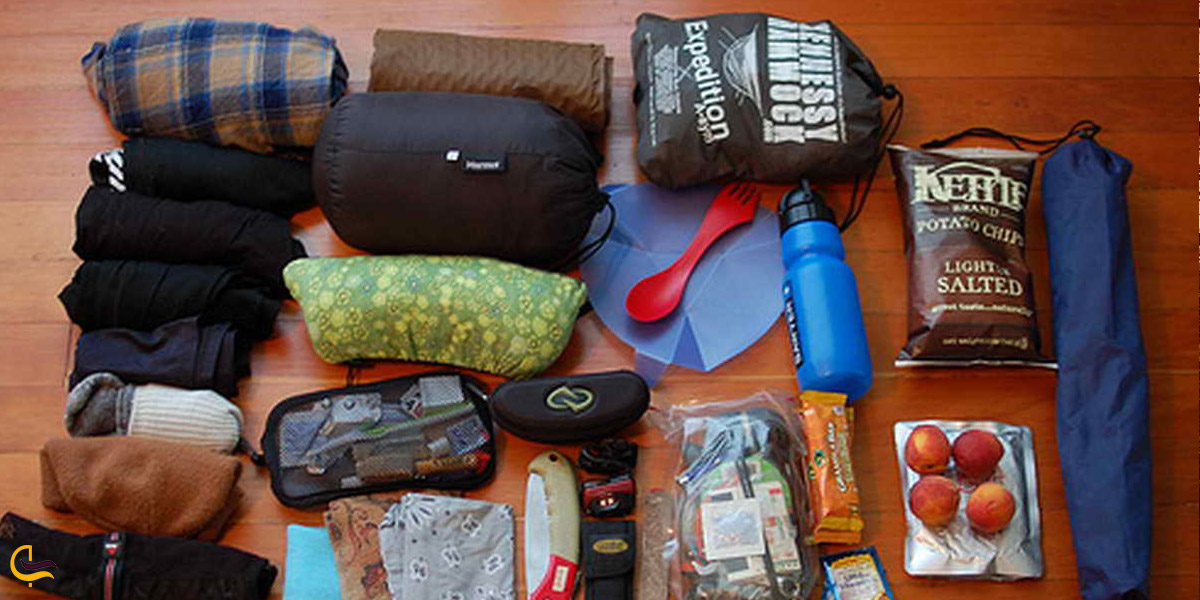 تصویری از وسایل ضروری سفر