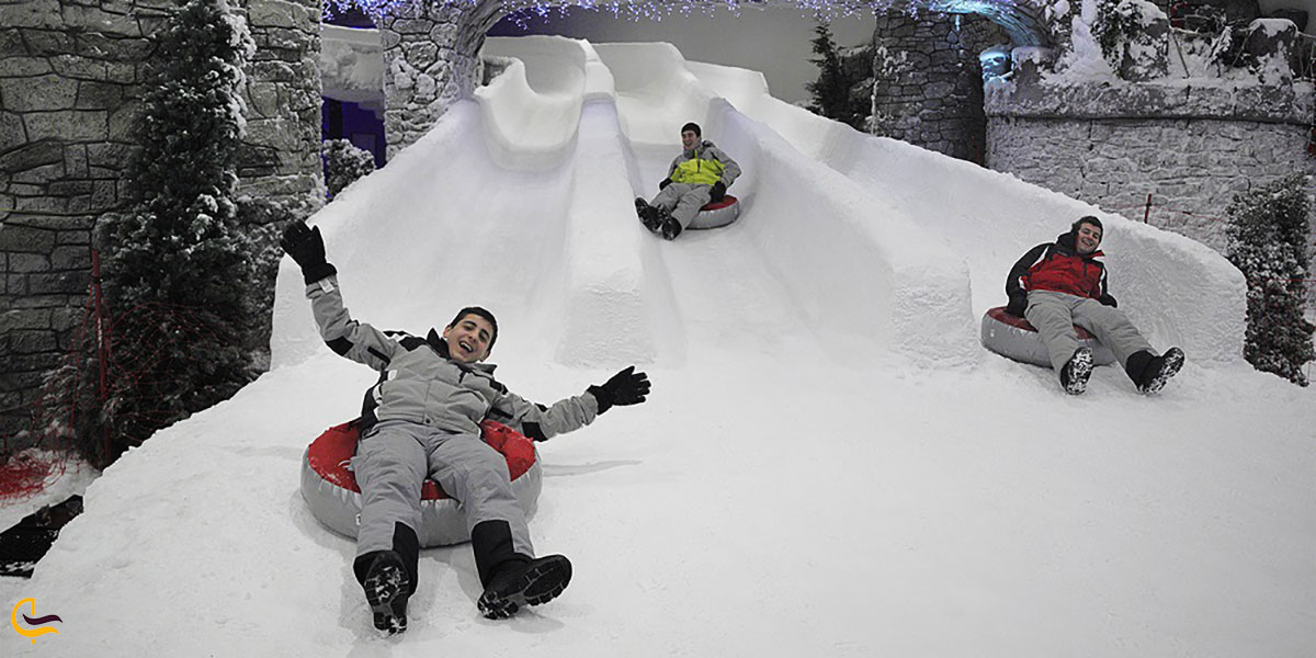 عکس پینگو فان