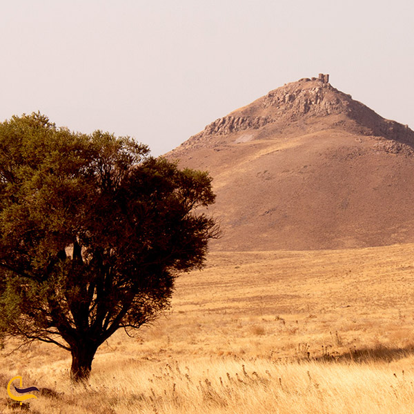 تصویری از منطقه حفاظت شده باشگل