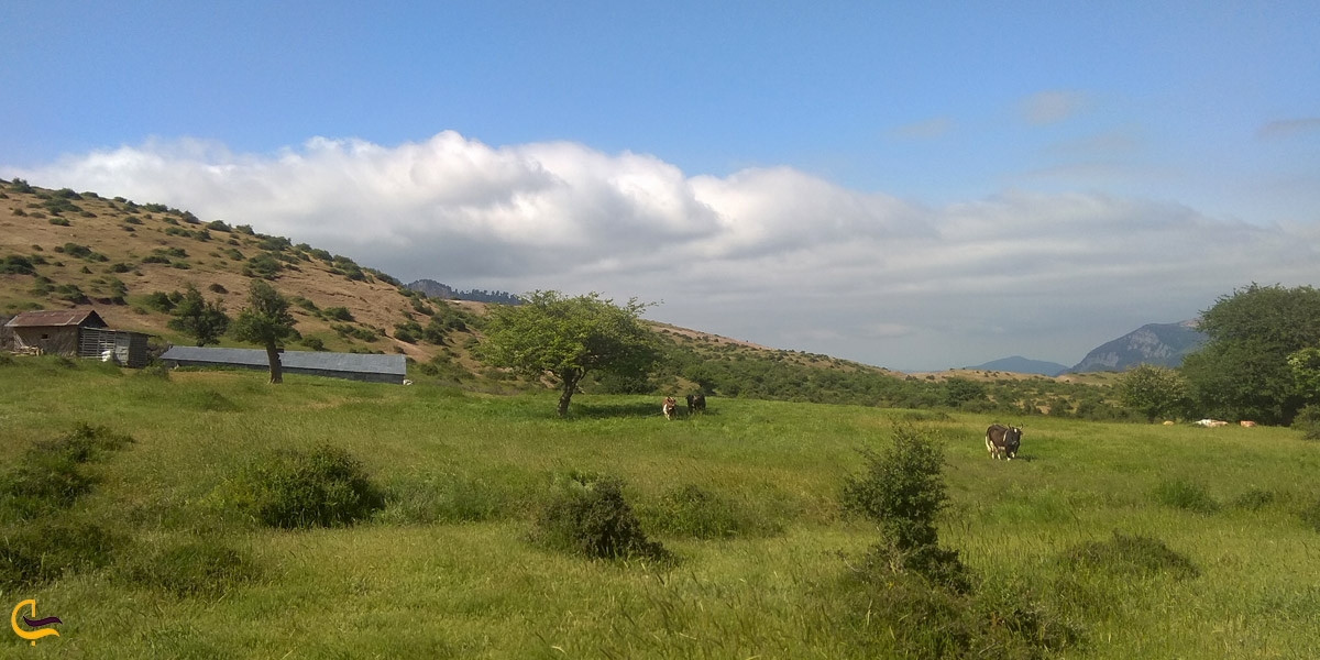 روستای شاه شهیدان