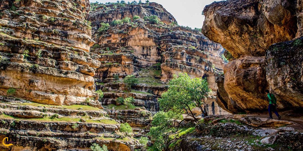 عکس تنگه شیرز در کوهدشت