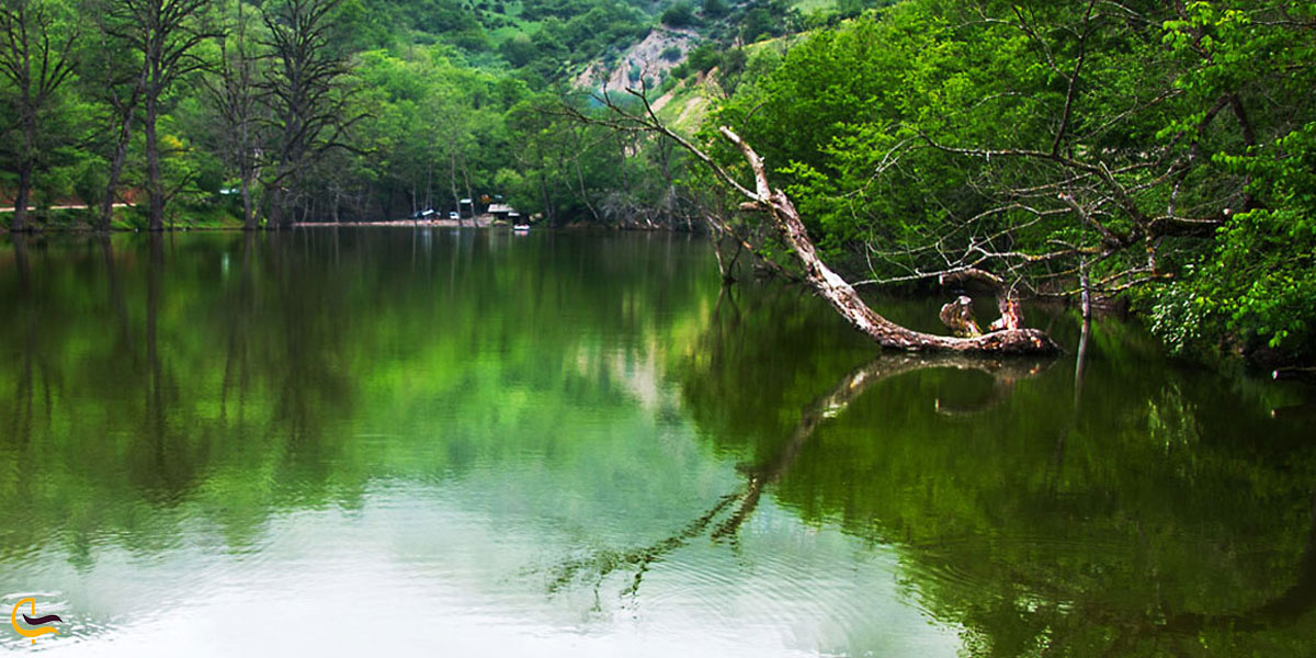 تصویری از دریاچه شورمست