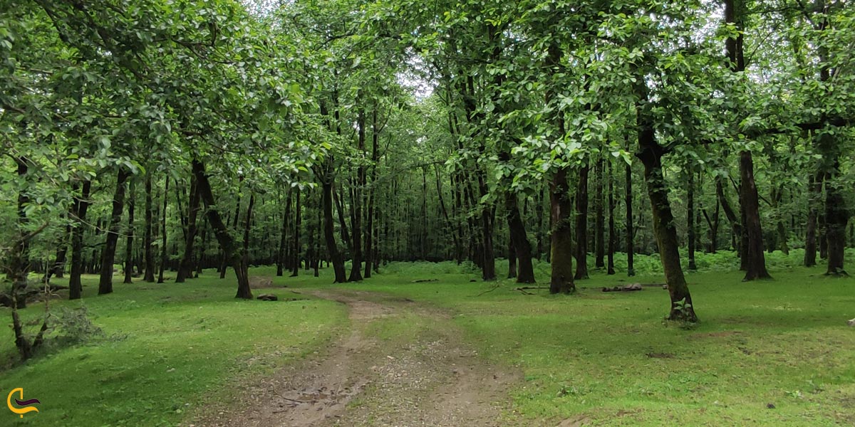 عکس از روستای سیاه بیل رضوانشهر