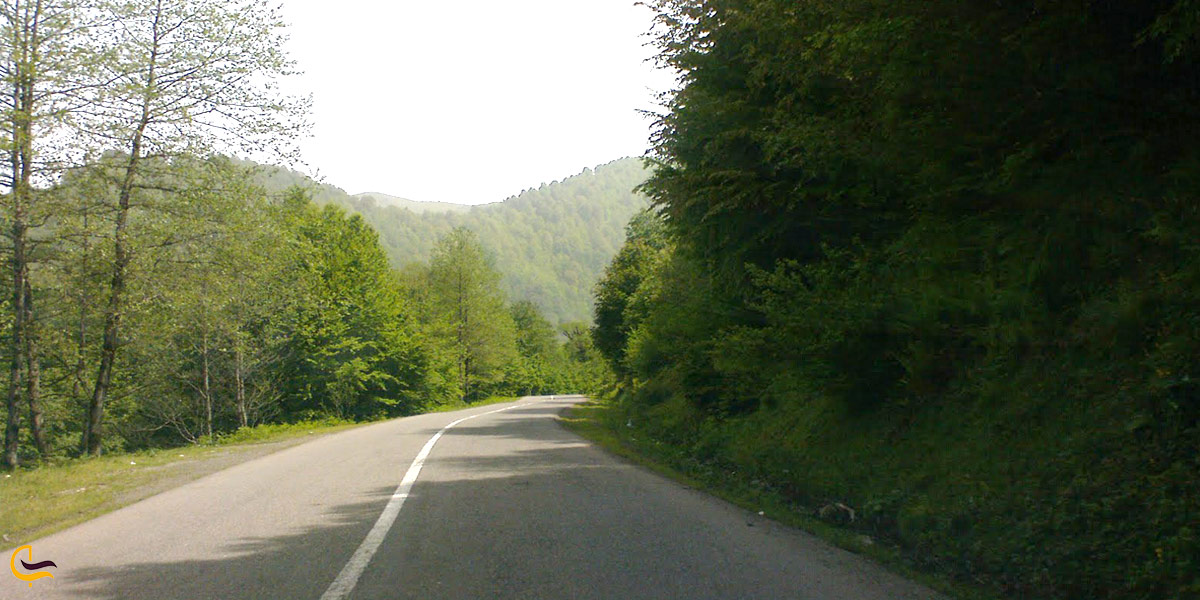 تصویری از جاده جنگلی سیاهکل به دیلمان