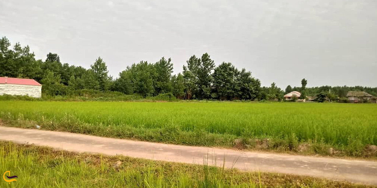 تصویری از طبیعت صومعه سرا