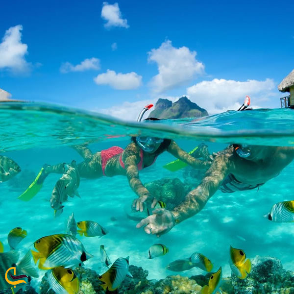 تصویری از شنا با ماهی‌ها در جزیره بورا بورا