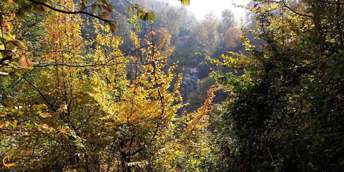 عکس بهترین زمان بازدید از آبشار سیاه تاش املش