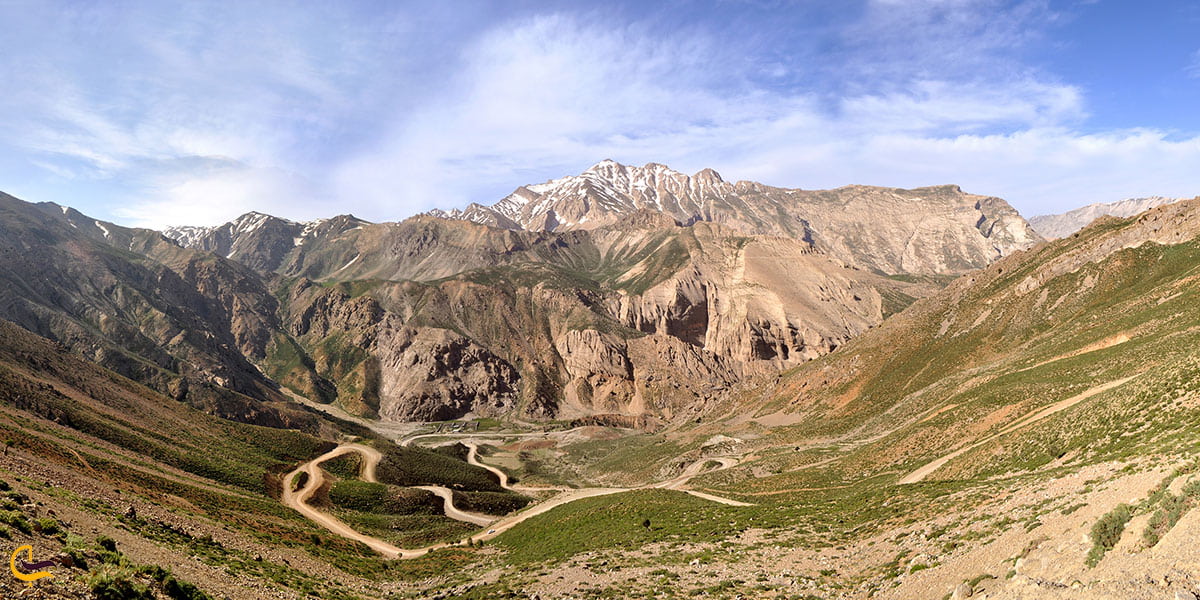 عکس پوشش گیاهی قالی کوه